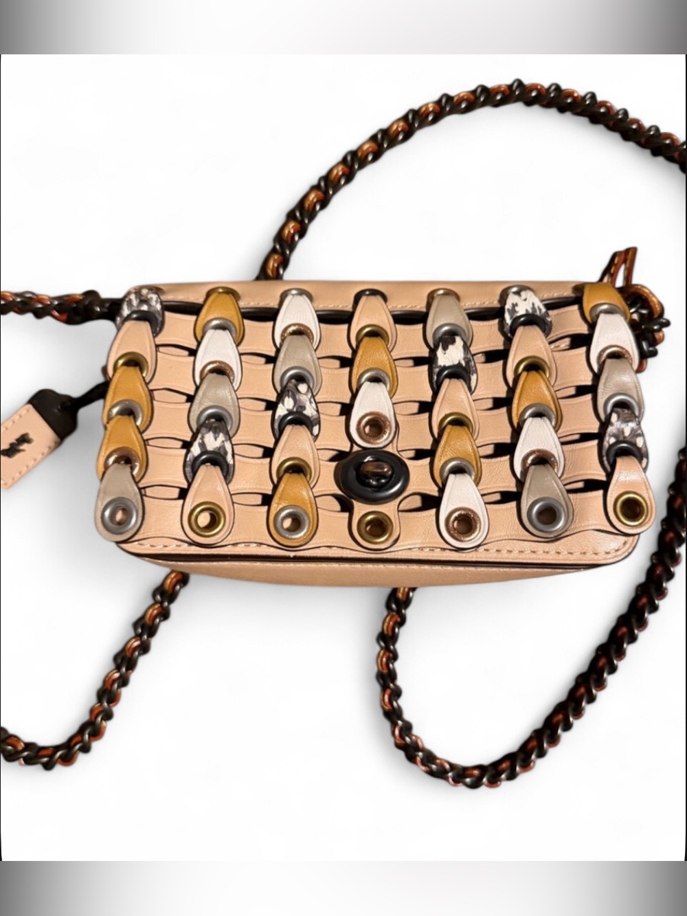 Coach 1941 Dinky With Color Block link and Snakeskin